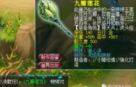 魔力百科新手成长路线 快速提升实力的方法