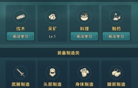 魔力宝贝私服巅峰开局：新手玩家必备攻略