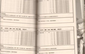 魔力百科职业技能搭配推荐，提升战斗力的绝招