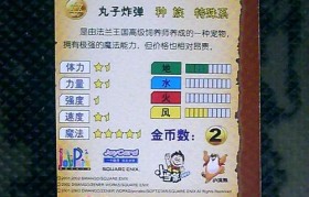 魔力宝贝挂机升级全解析 轻松提升等级的秘诀