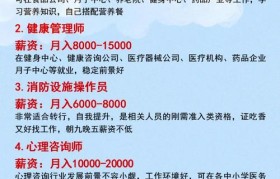 魔力百科职业选择分析 哪个职业适合你