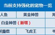 魔力宝贝私服强化技巧分享 如何提升强化成功率