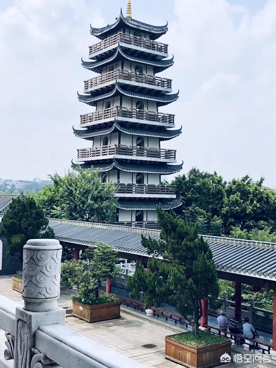 魔力宝贝sf宠物合成攻略，如何养成最强神宠