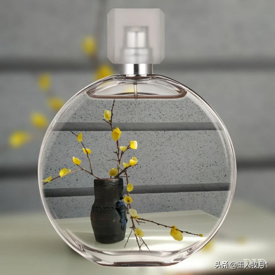 魔力宝贝sf宠物合成攻略，如何养成最强神宠