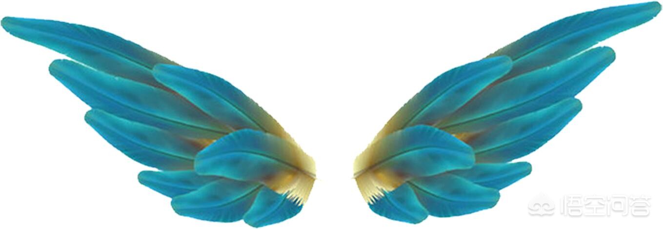 魔力百科副本攻略分享 快速通关的秘籍 魔力百科副本攻略分享 快速通关的秘籍