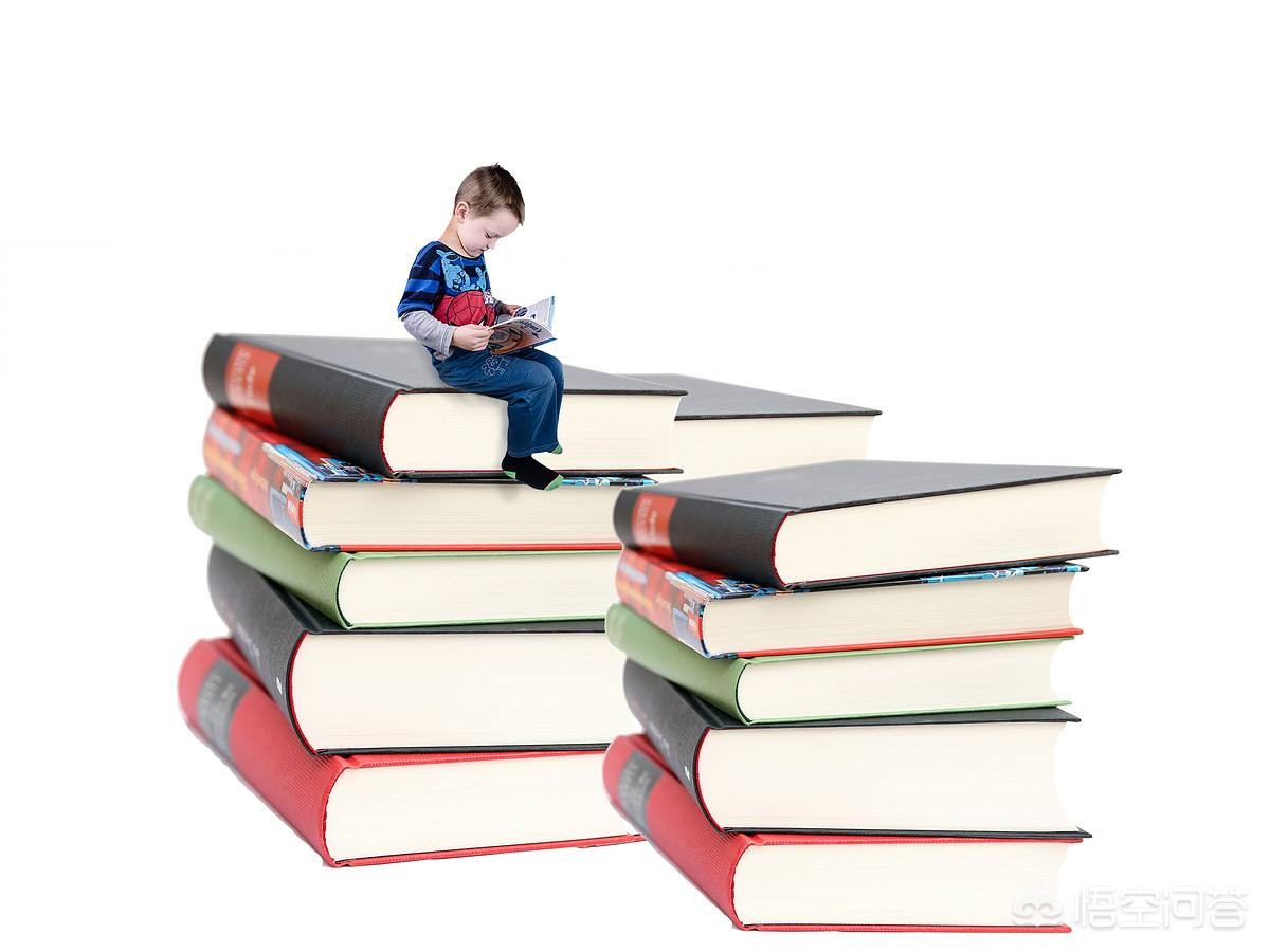 魔力百科宠物技能搭配 打造最强战斗伙伴 魔力百科宠物技能搭配 打造最强战斗伙伴