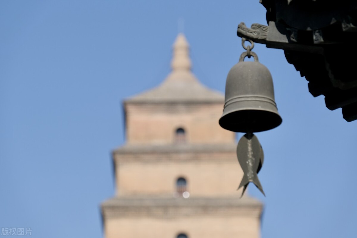 魔力百科宠物技能搭配 打造最强战斗伙伴 魔力百科宠物技能搭配 打造最强战斗伙伴