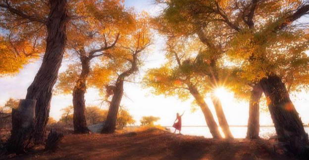 魔力百科宠物技能搭配 打造最强战斗伙伴 魔力百科宠物技能搭配 打造最强战斗伙伴