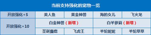 魔力宝贝私服强化技巧分享 如何提升强化成功率