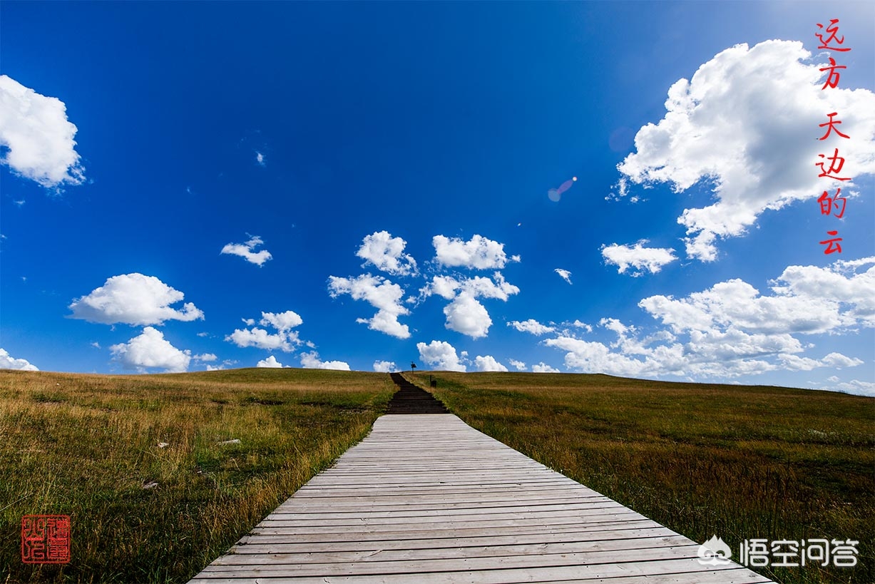 魔力宝贝高手分享战斗经验，成为顶级玩家的必修课