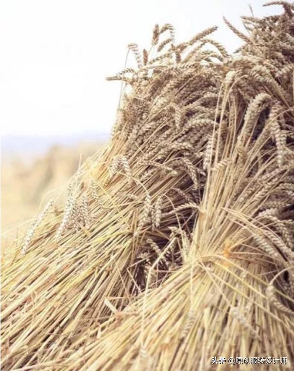 魔力宝贝装备获取途径 打造顶级神装的秘诀