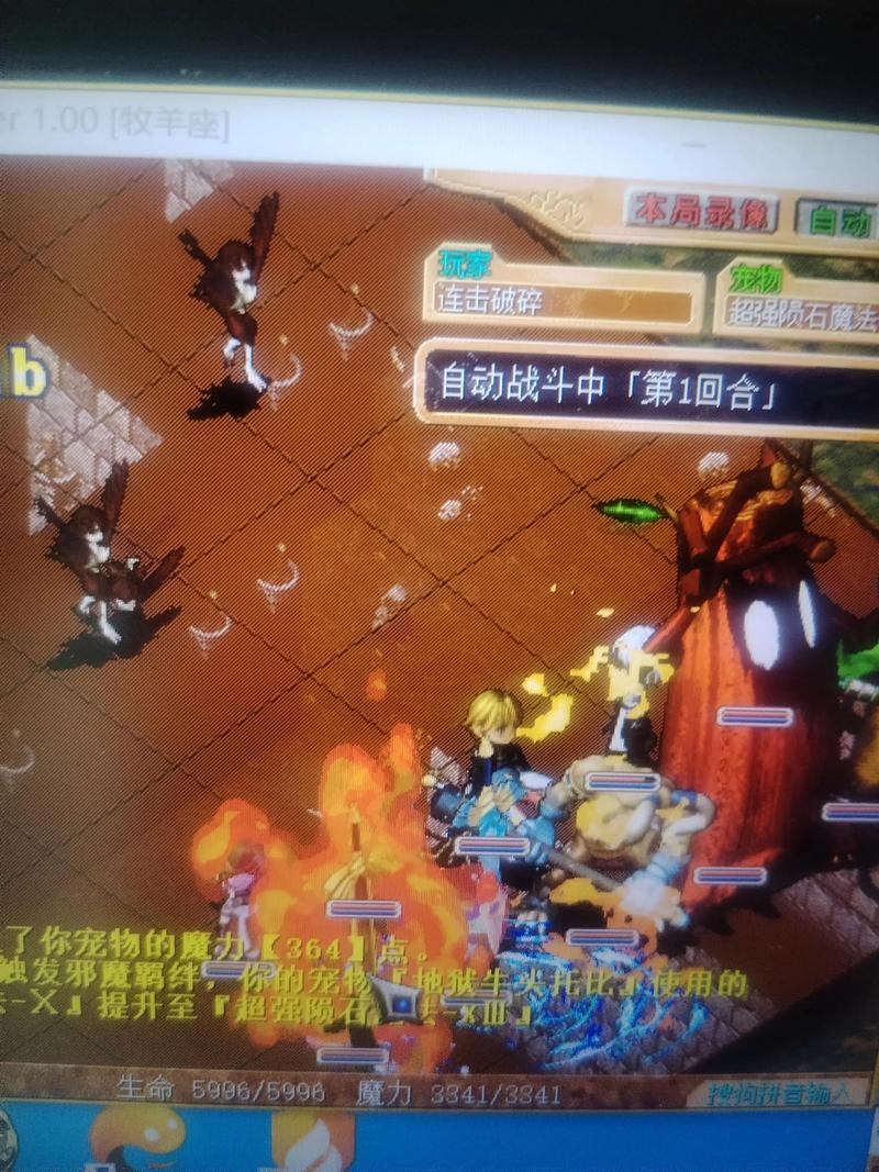 魔力宝贝稀有宠物养成计划