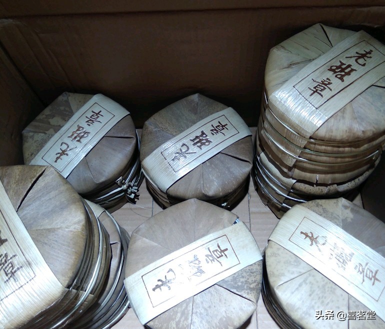 魔力宝贝的魅力揭秘 玩家为何选择